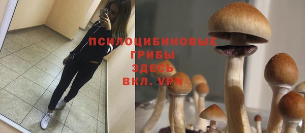 таблы Белоозёрский
