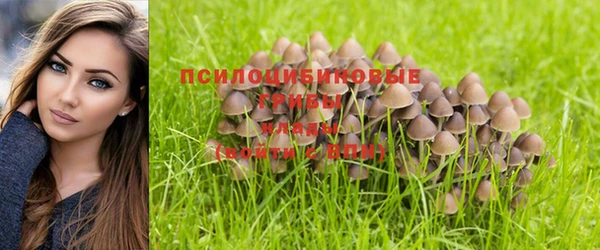 кристаллы Белокуриха